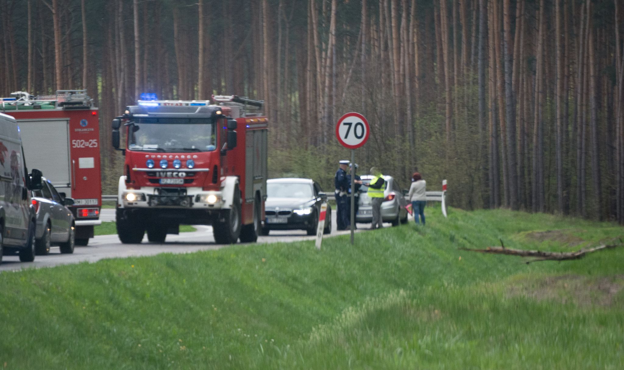 Drzewo spadło na przejeżdżający samochód [ZDJĘCIA