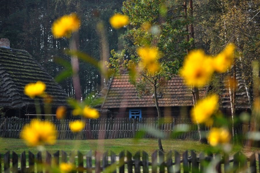 Skansen w Kolbuszowej zaprasza na weekend za pól ceny  - Zdjęcie główne