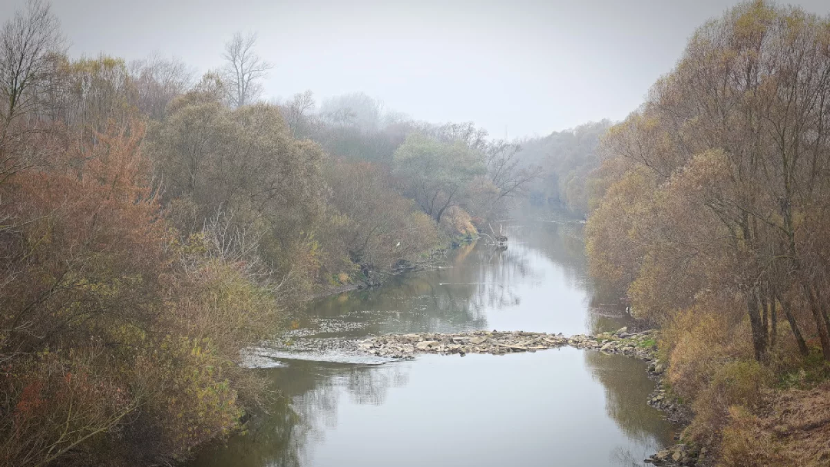 Tragiczny finał poszukiwań zaginionego mieszkańca Mielca - Zdjęcie główne