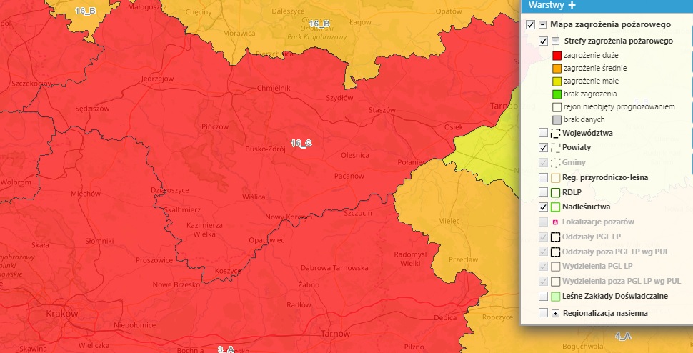 Roztropnie na jagodach - Zdjęcie główne