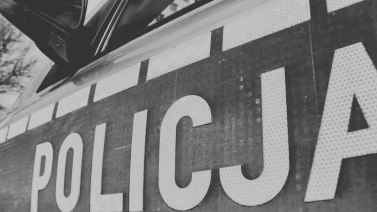 Tragiczny wypadek na trasie Dębica–Mielec. Nie żyje młody kierowca - Zdjęcie główne