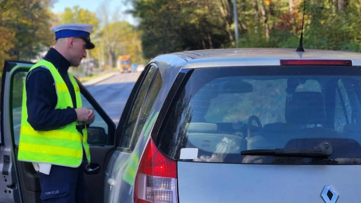 Zaskakujący raport z Mielca, ani jednego pijanego kierowcy w Święta Bożego Narodzenia - Zdjęcie główne