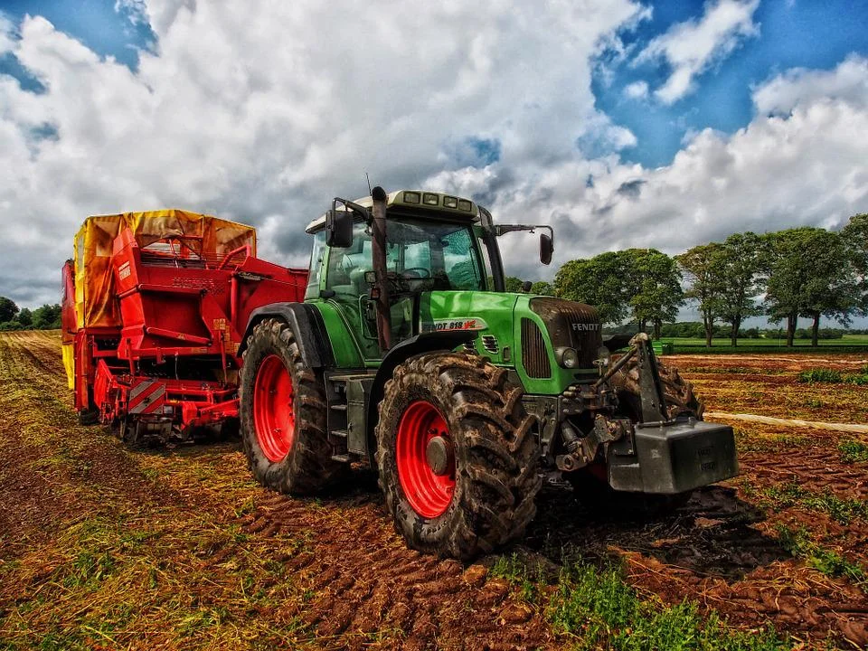 Gdzie najwięcej traktorów, a gdzie świń? Są wyniki spisu rolnego - Zdjęcie główne