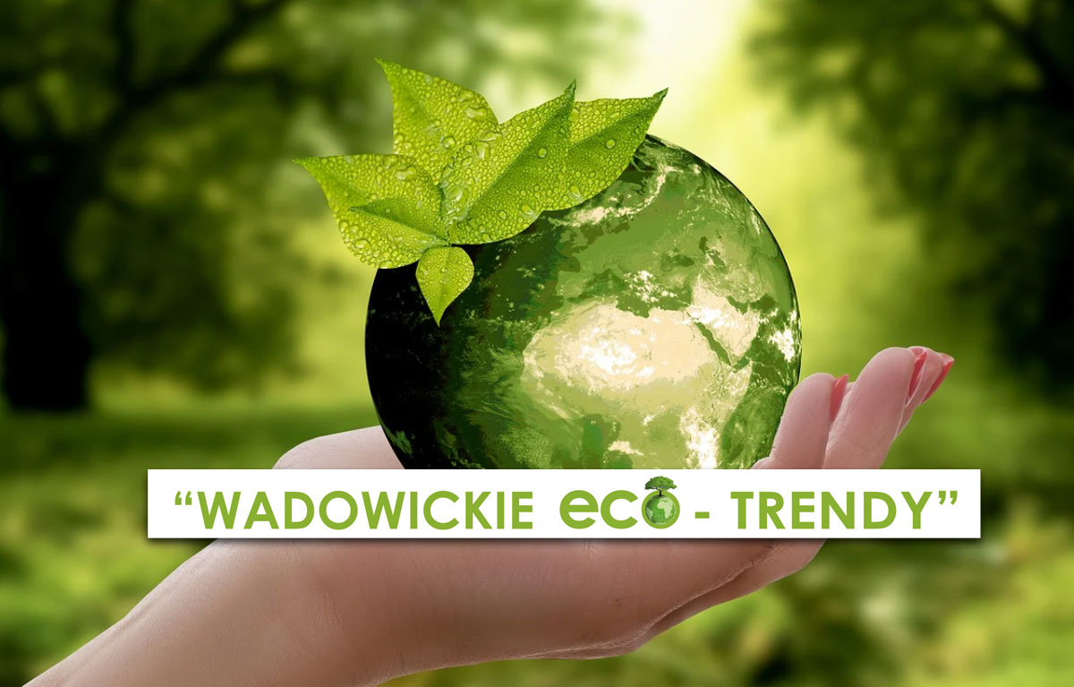 Projekt ekologiczny "Wadowickie eco - trendy" - Zdjęcie główne