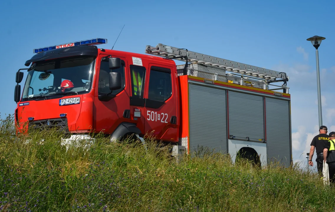 Zwłoki znalezione w Wisłoce. To zaginiony mężczyzna - Zdjęcie główne