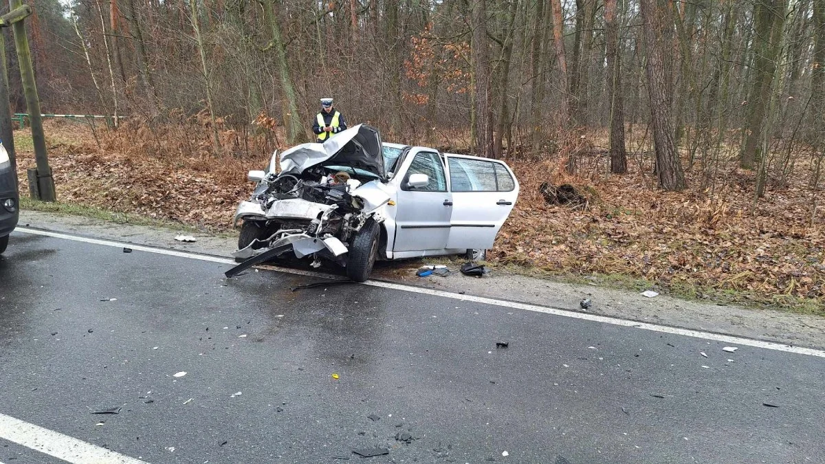 Kolejny śmiertelny wypadek na Podkarpaciu. Nie żyje mężczyzna - Zdjęcie główne