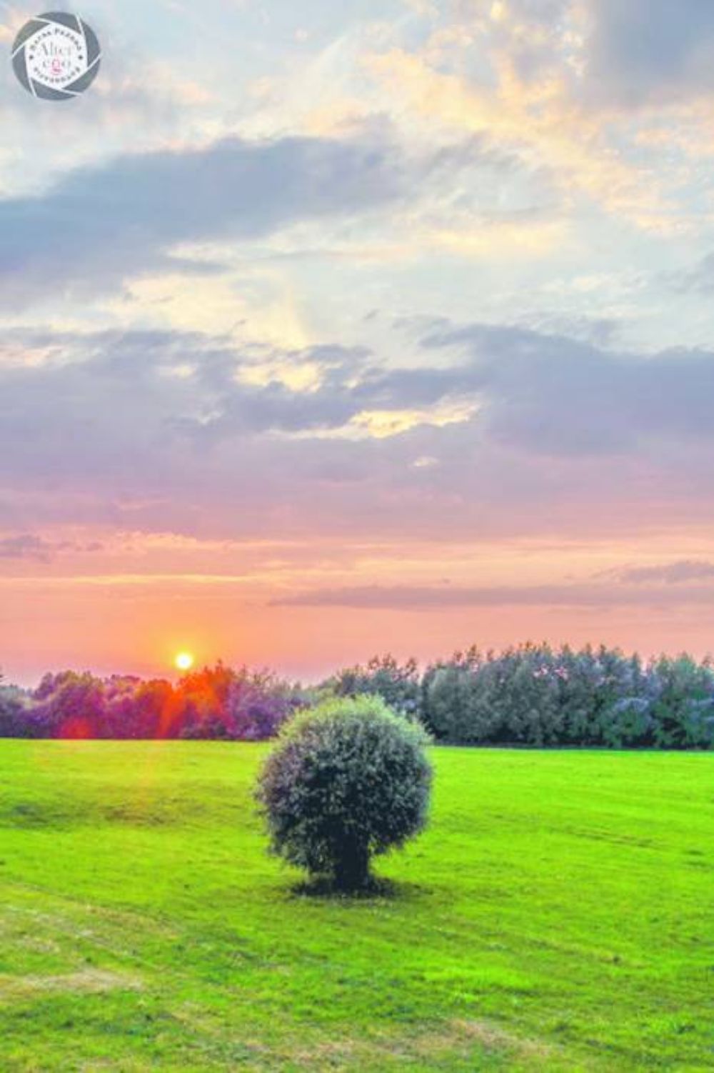 Jak zrobić dobre zdjęcie? O fotografii słów kilka - Zdjęcie główne