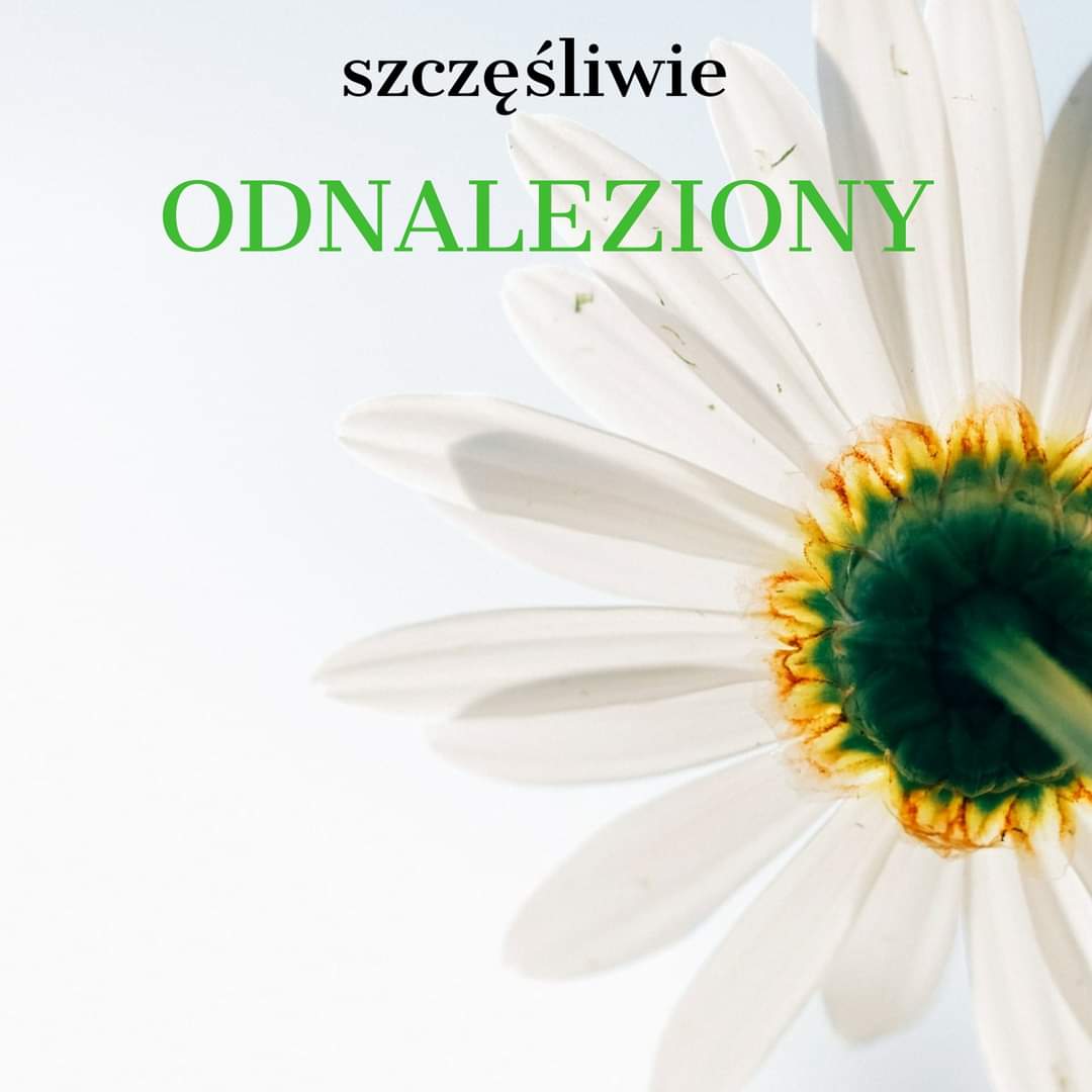 Adam odnaleziony - Zdjęcie główne