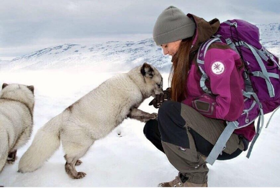 Z PODKARPACIA. Sanoczanka chce przejechać psim zaprzęgiem z Norwegii do Szwecji. Głosuj na Sabinę! - Zdjęcie główne