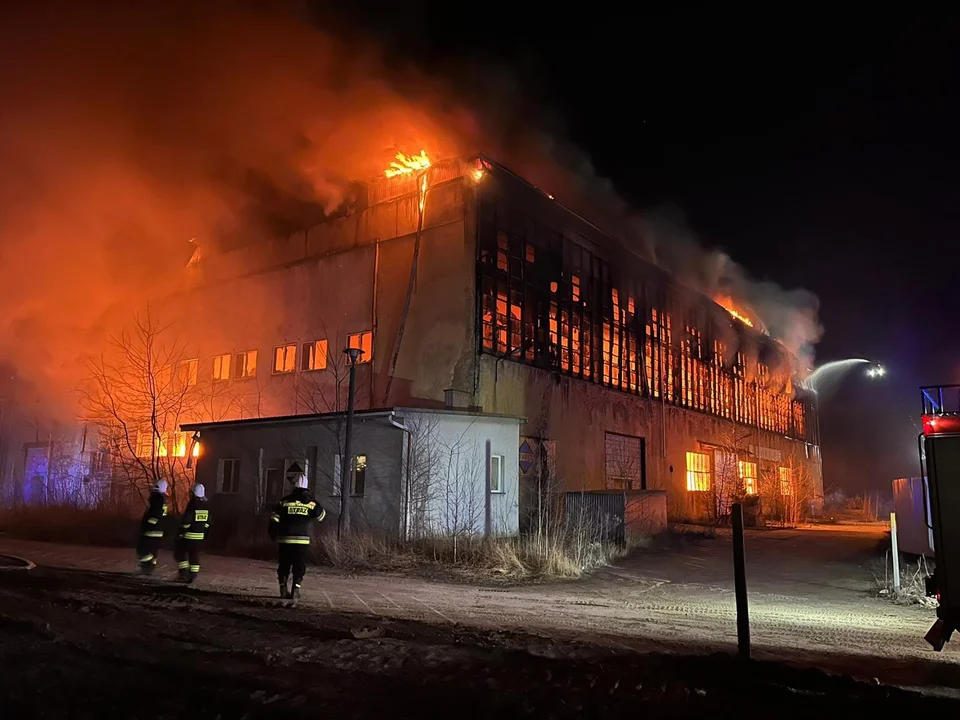 Ogromny pożar hali w Tarnobrzegu! Strażacy z Mielca pomagali - Zdjęcie główne