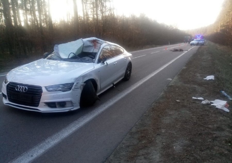 Niebezpieczny wypadek w Przyłęku. Pięć osób trafiło do szpitala po zderzeniu z łanią - Zdjęcie główne