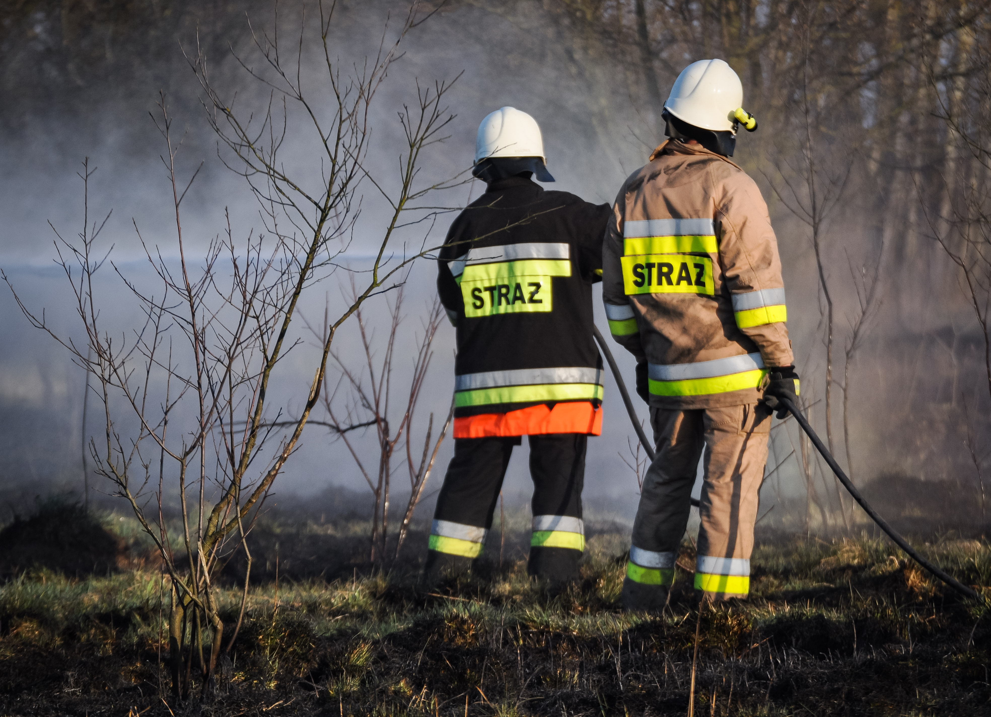 Duży pożar traw w gminie Mielec! [FOTO, VIDEO] - Zdjęcie główne