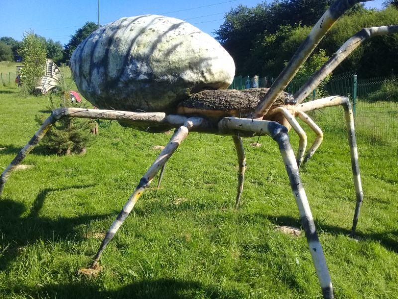 Pająk większy od człowieka? Możesz zobaczyć go niedaleko Mielca! [FOTO] - Zdjęcie główne