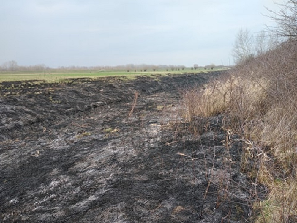 Strażacy z OSP Wola Zdakowska gasili pożar traw [FOTO] - Zdjęcie główne