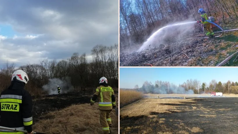 Nie pomagają apele strażaków. Wciąż płoną nieużytki w powiecie mieleckim [ZDJĘCIA] - Zdjęcie główne