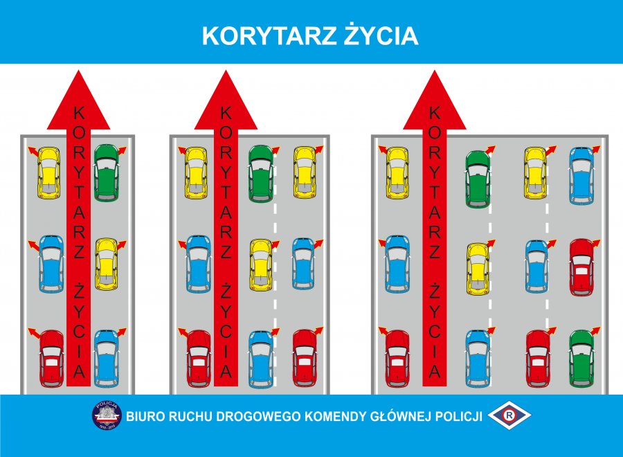 Od dzisiaj obowiązują nowe przepisy drogowe - Zdjęcie główne