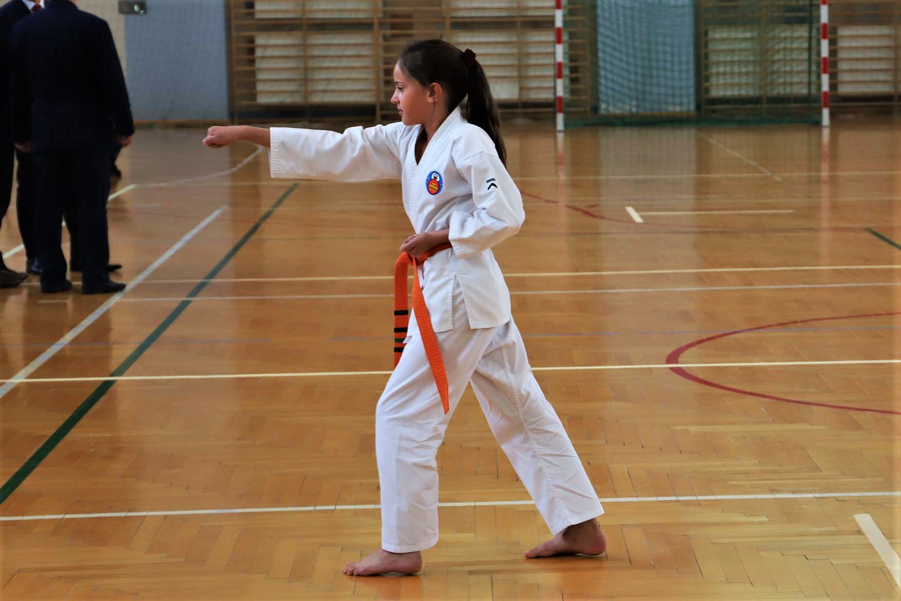 XI Ogólnopolski Turniej SHORIN-RYU KARATE o Puchar Ziemi Mieleckiej - Zdjęcie główne