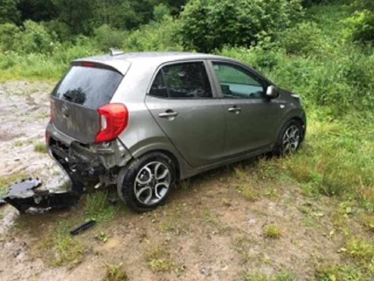 Bieszczady. Niedźwiedź - chuligan chciał ukraść prowiant - Zdjęcie główne