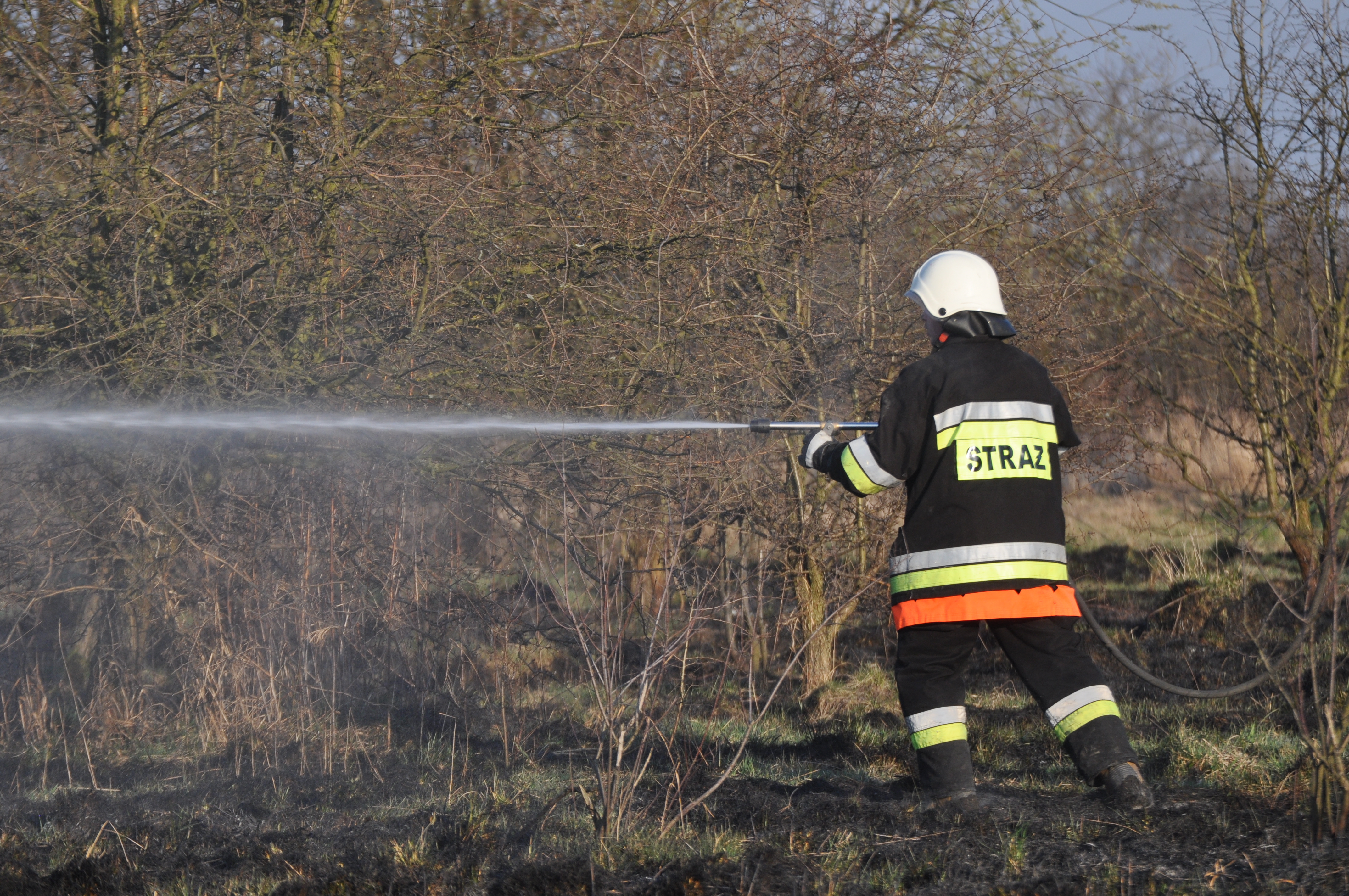 Strażacy gaszą pożar suchej trawy! [VIDEO] - Zdjęcie główne