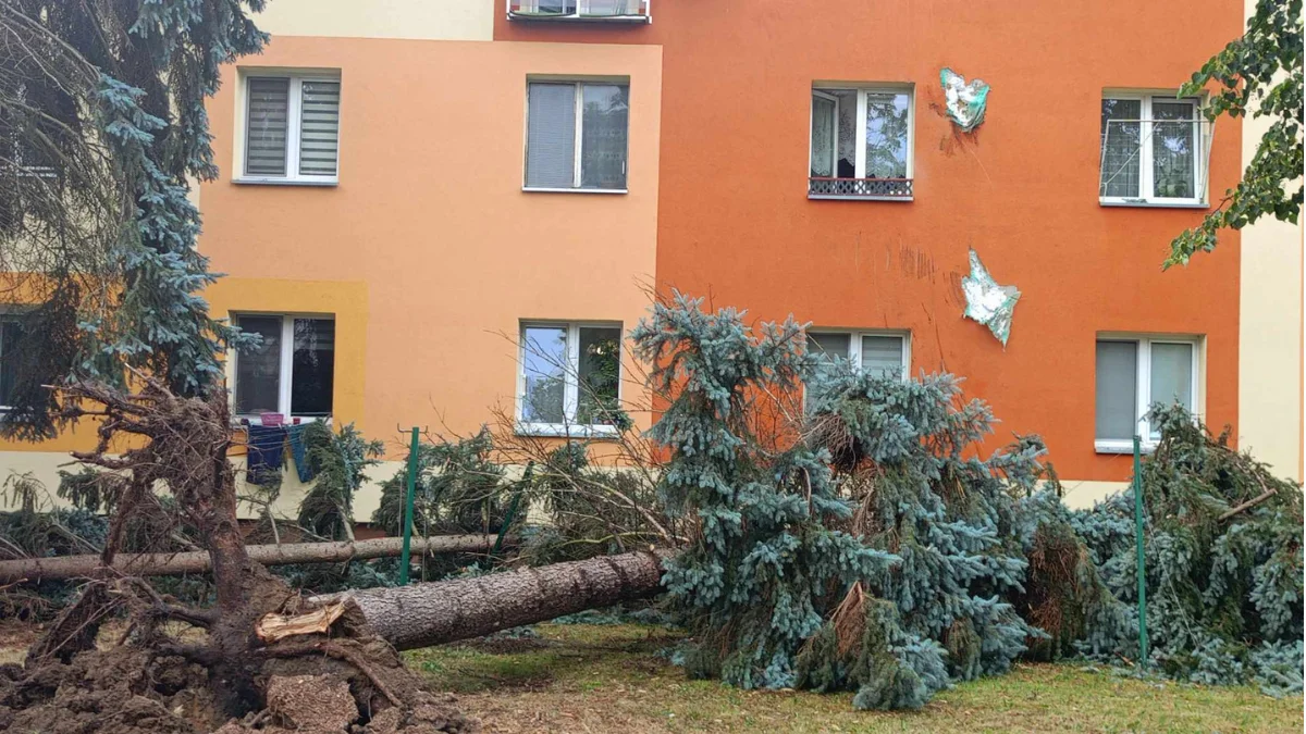 Nawałnica w powiecie mieleckim. Bilans strat i działań ratunkowych - Zdjęcie główne