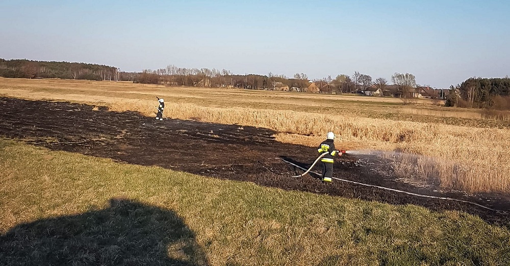 Znowu płonie trawa w naszym powiecie [FOTO] - Zdjęcie główne