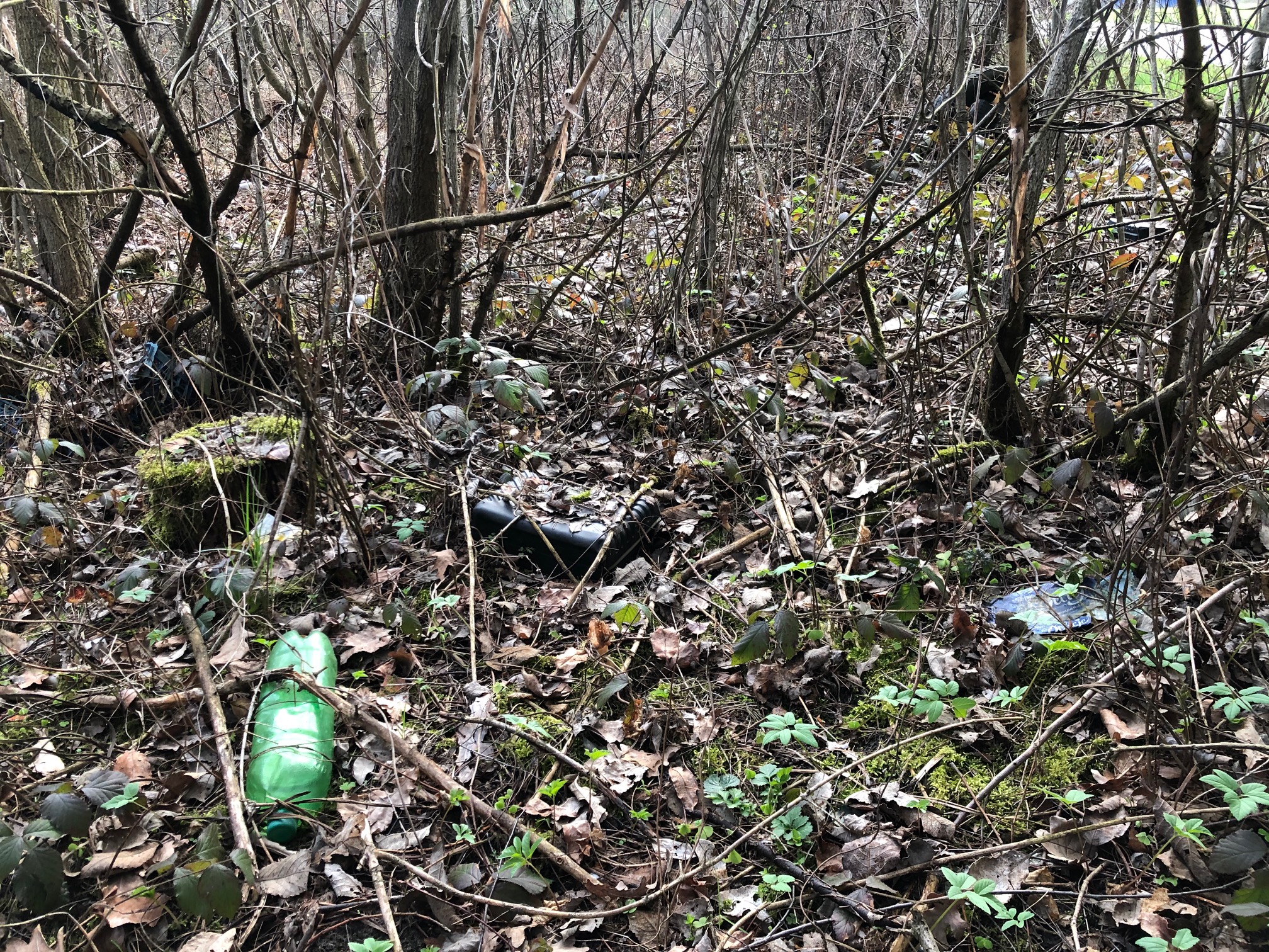 SYGNAŁY CZYTELNIKÓW: Dzikie wysypisko śmieci [ZDJĘCIA] - Zdjęcie główne