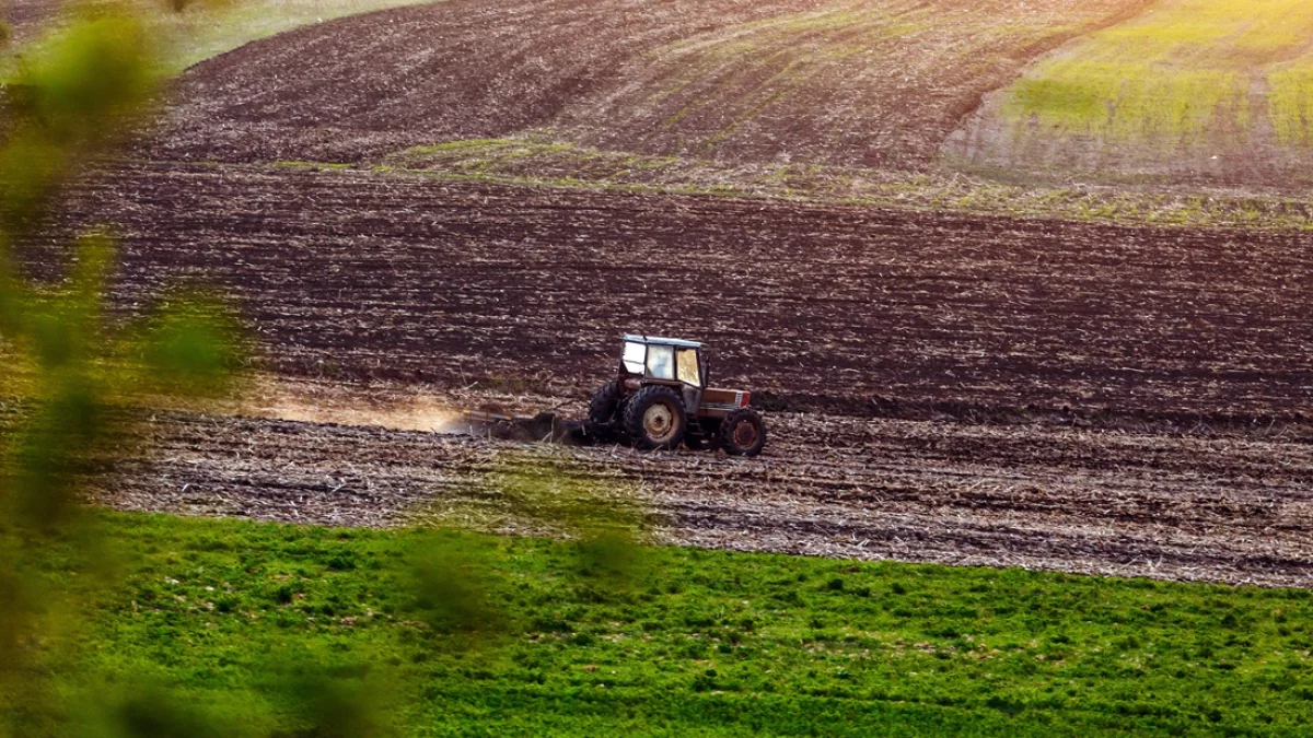 Najpopularniejsze Ursusy – które ciągniki nadal pracują w polskich gospodarstwach? - Zdjęcie główne