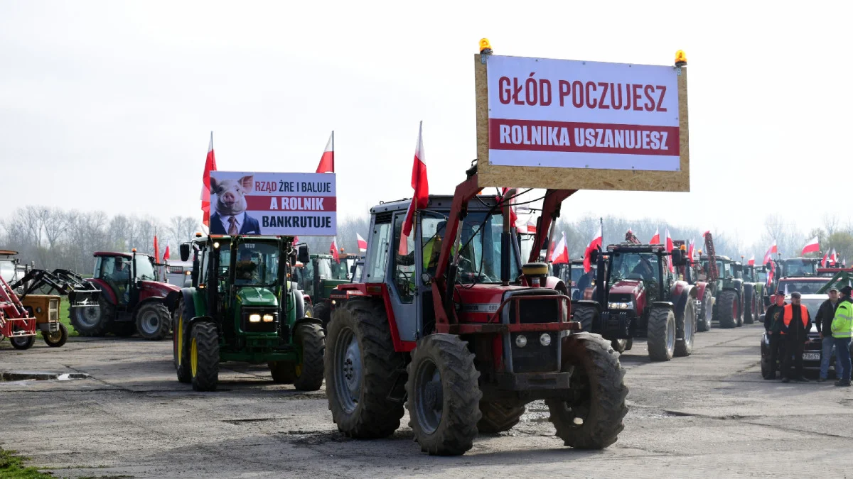 Rolnicy wyjechali na ulice Mielca i powiatu w ramach protestu [ZDJĘCIA] - Zdjęcie główne
