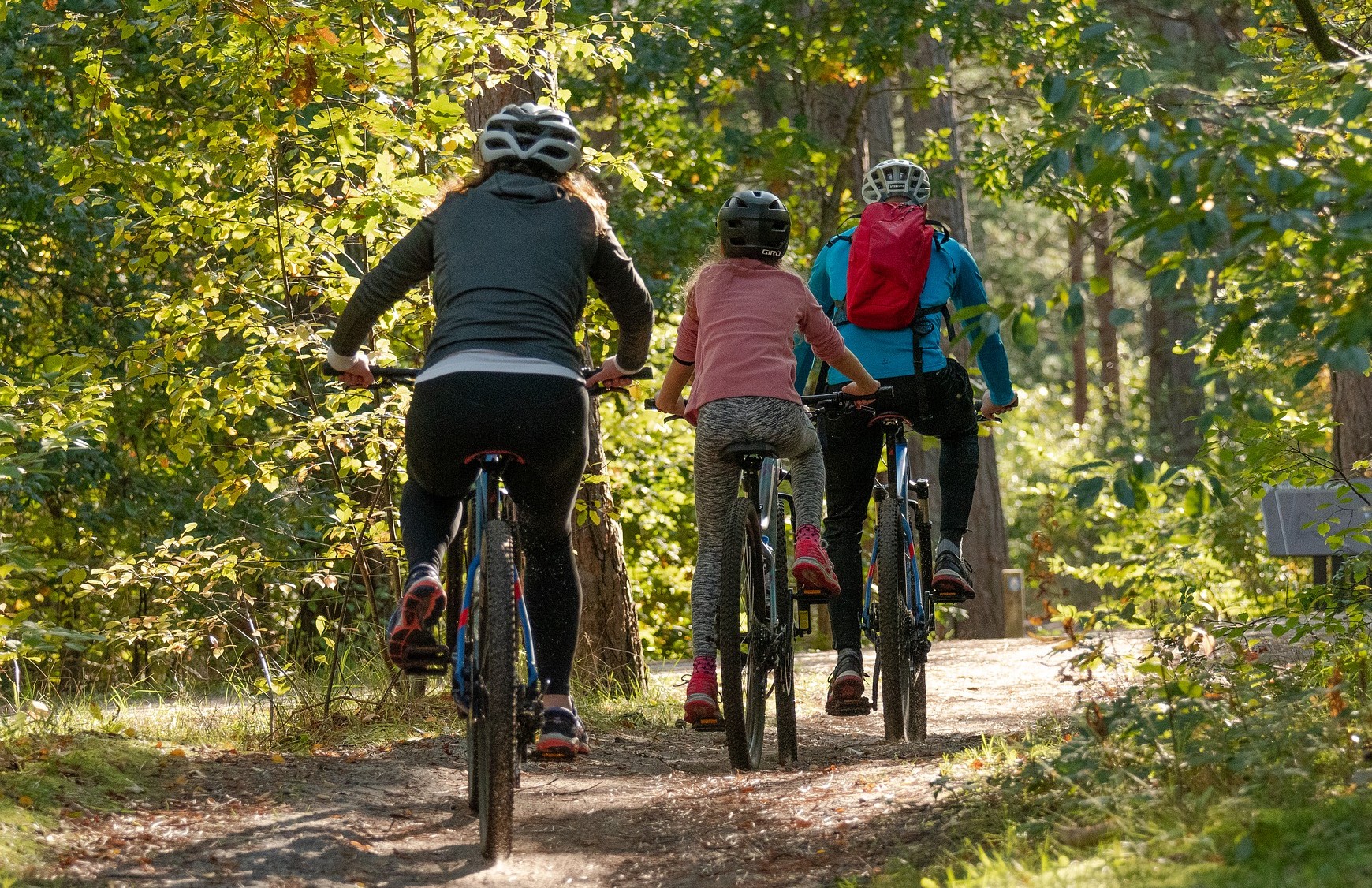 Aktywnie i na dwóch kółkach. Szykuje się rajd „Borowa-Rowerowa” - Zdjęcie główne