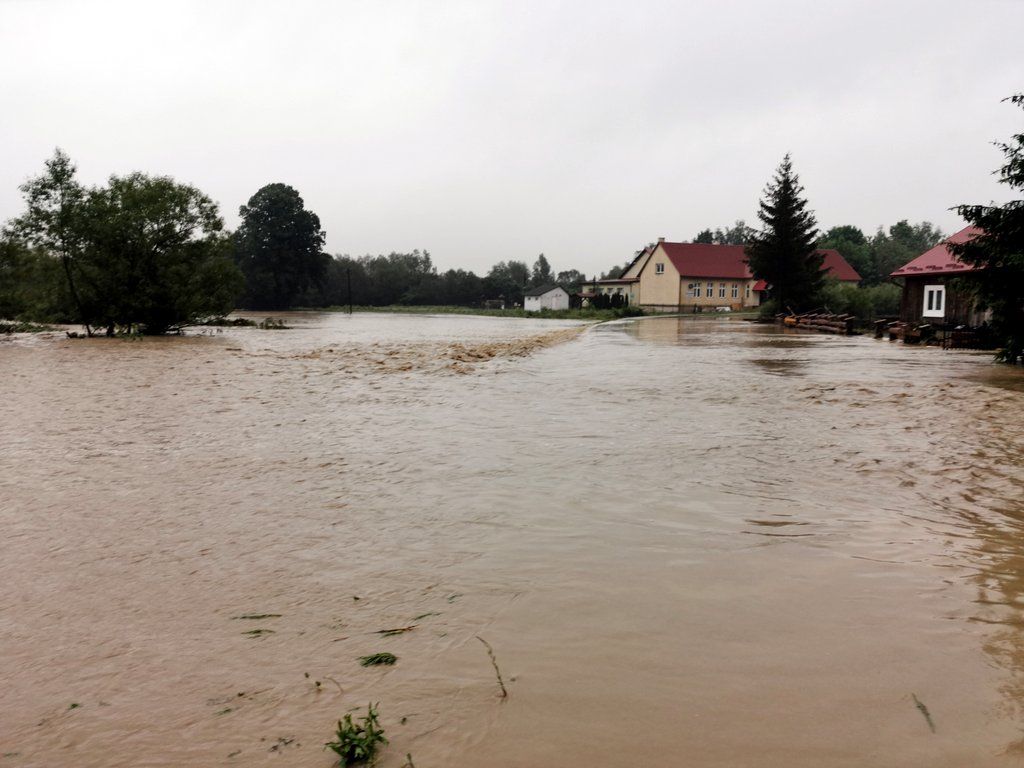 Ponad 1800 interwencji podkarpackich strażaków [FOTO] - Zdjęcie główne