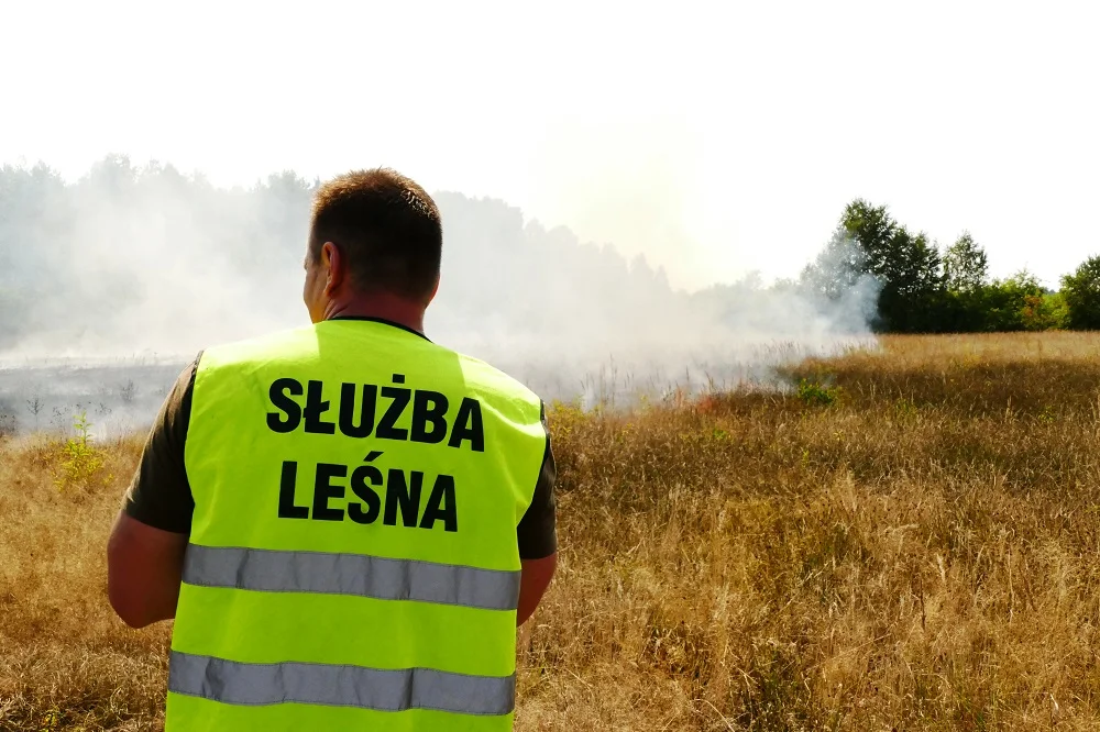 Mieleccy leśnicy apelują! "Nie wypalajmy traw!"  - Zdjęcie główne