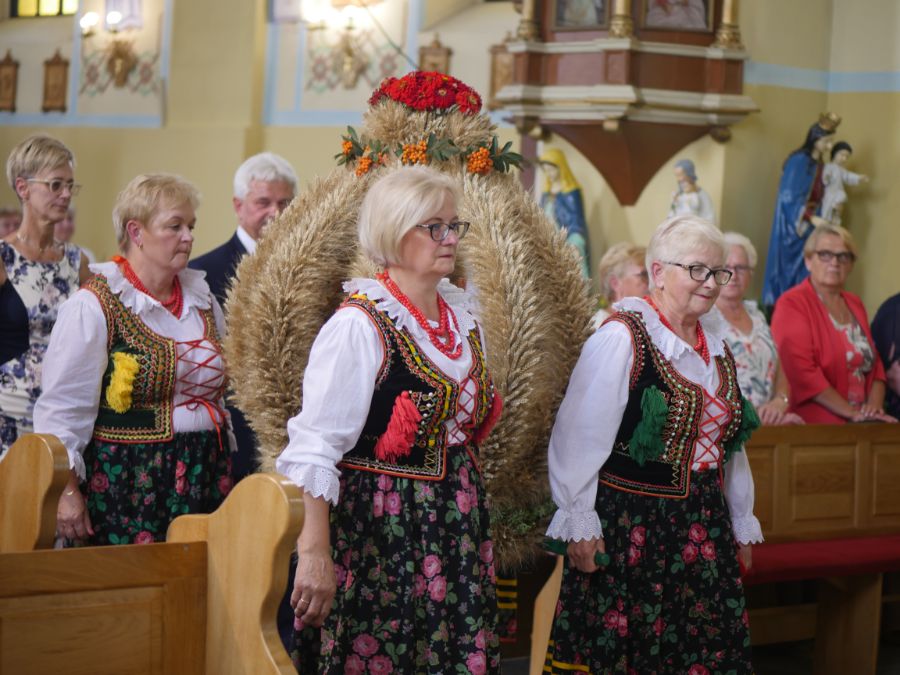 Pikniki żniwne w gminie Radomyśl Wielki [ZDJĘCIA] - Zdjęcie główne