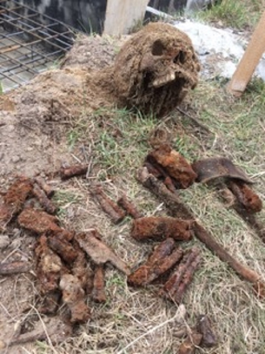 Z PODKARPACIA: Znaleziono ludzkie szczątki, granat i amunicje - Zdjęcie główne