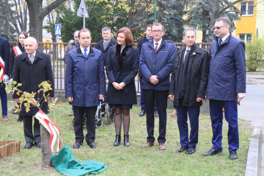 Na początek obchodów 100-lecia Niepodległości mielczanie posadzili pamiątkowy dąb - Zdjęcie główne