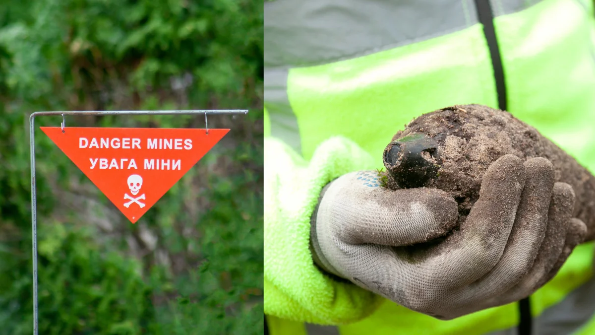 Saperzy z Rzeszowa w powiecie mieleckim - Zdjęcie główne