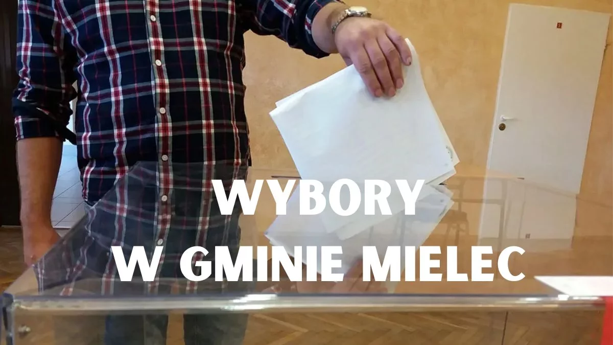 Znamy nazwiska kandydatów na sołtysów w gminie Mielec [LISTA] - Zdjęcie główne