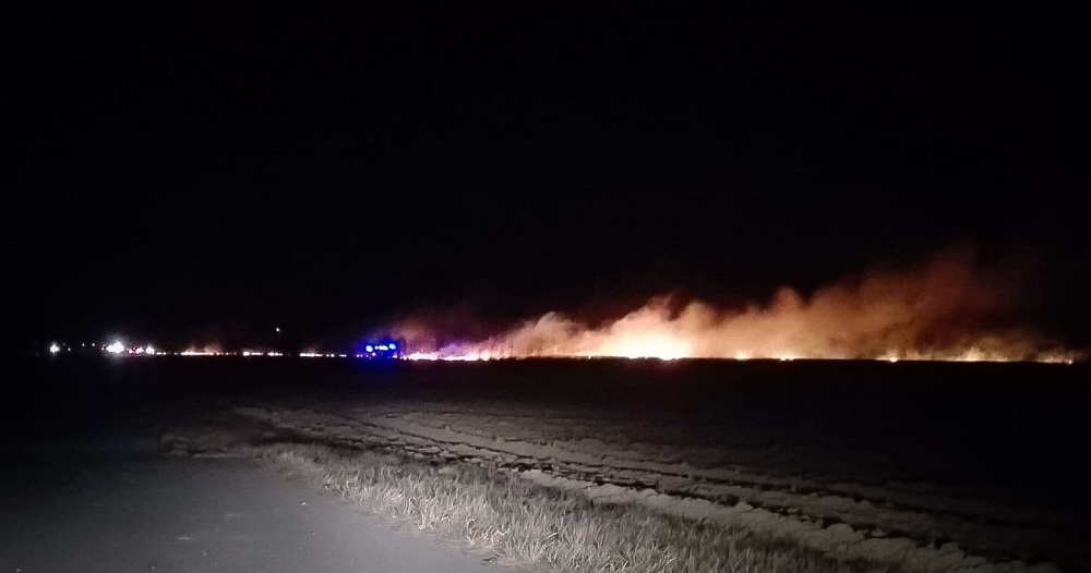 Ogromny pożar łąk i nieużytków w Kliszowie i Borkach Nizińskich! [FOTO] - Zdjęcie główne