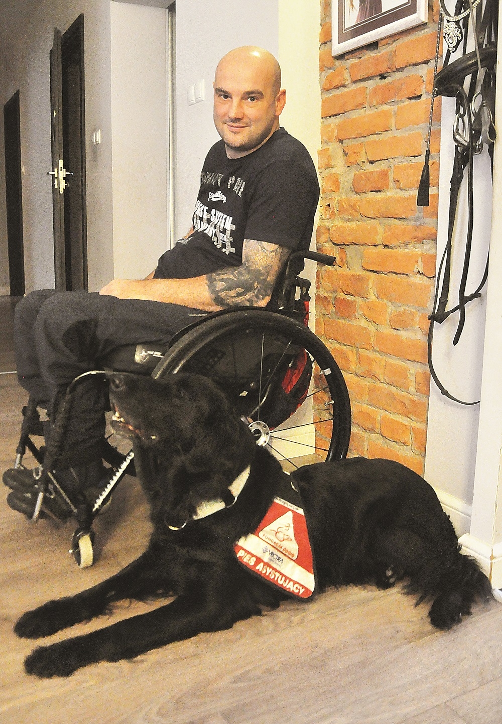 Zgodnie z ustawą pies asystujący niepełnosprawnemu może wejść wszędzie z osobą, której pomaga.  - Zdjęcie główne