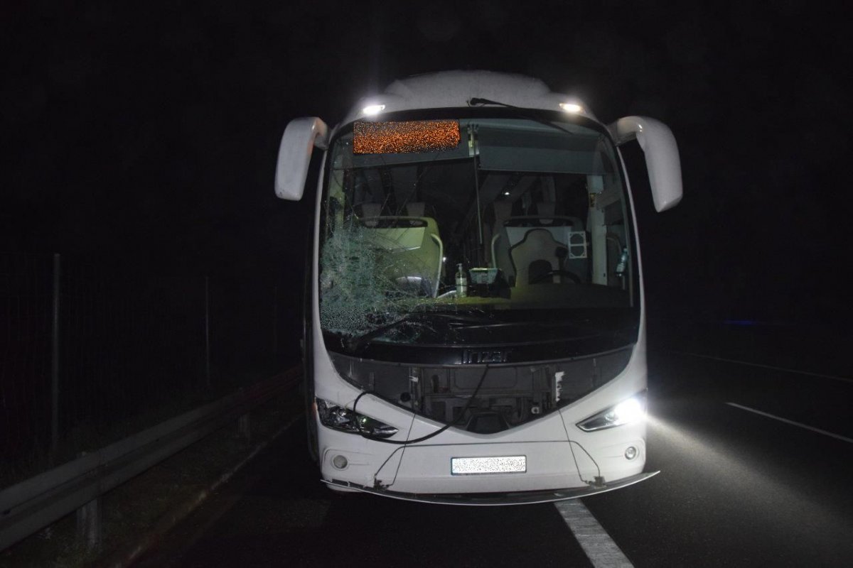 Region. Tragedia na autostradzie. Autobus potrącił pieszego - Zdjęcie główne