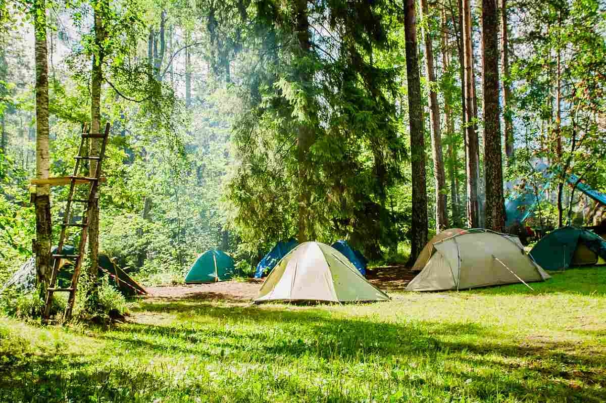 Zanocuj w lesie. Majówka jak za dawnych lat - Zdjęcie główne