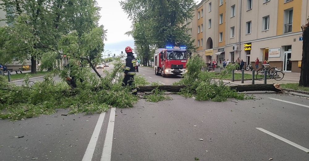 Drzewo spadło na przejeżdżający samochód [FOTO, VIDEO] - Zdjęcie główne