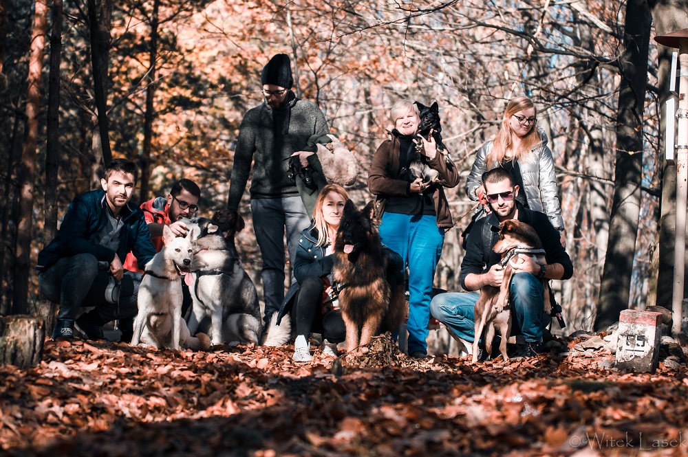 Walkin` dogs, czyli weź psa na spacer - Zdjęcie główne