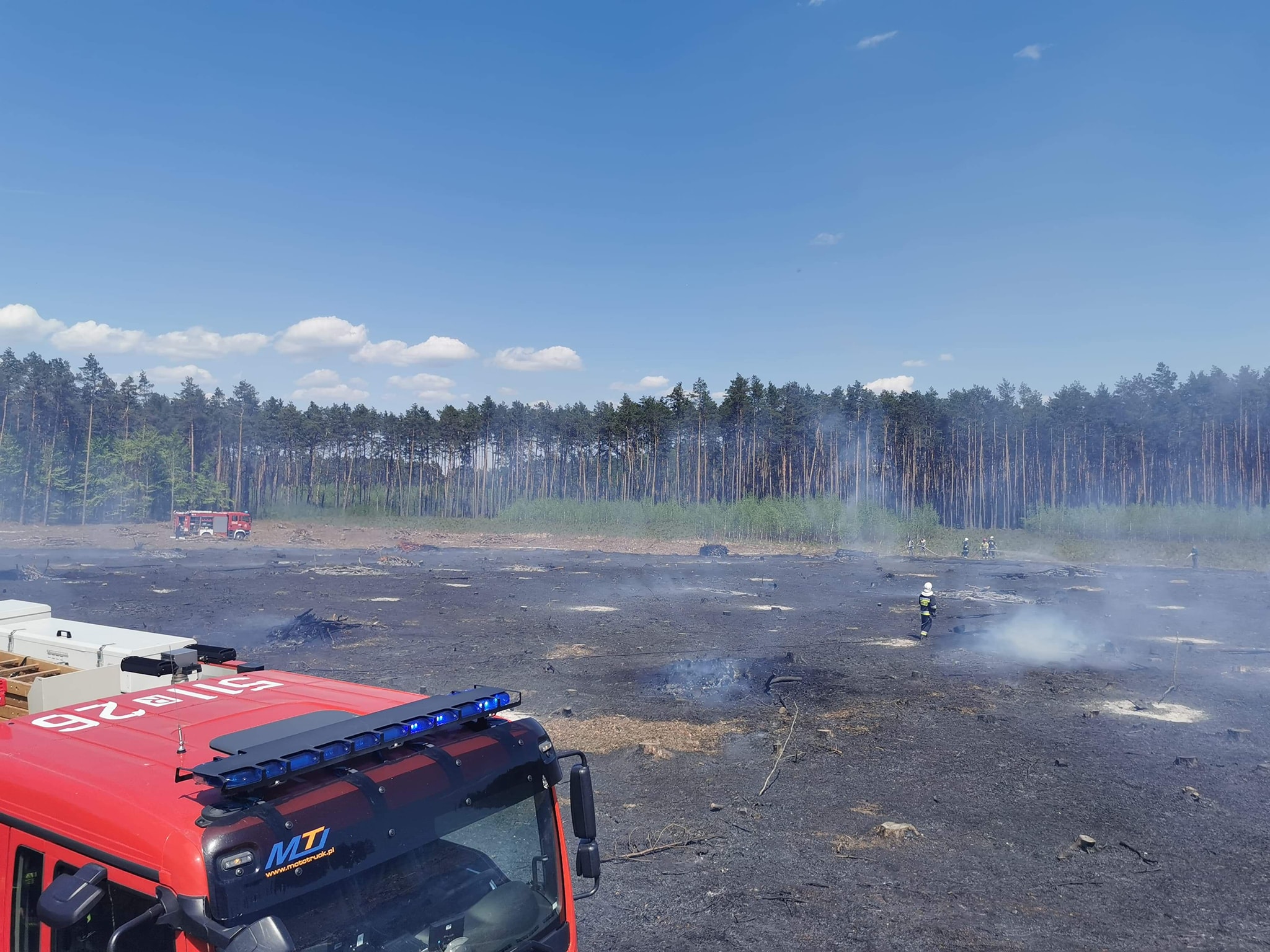 Zagrożenie pożarowe w podkarpackich lasach. Jedna osoba zginęła w ogniu! - Zdjęcie główne