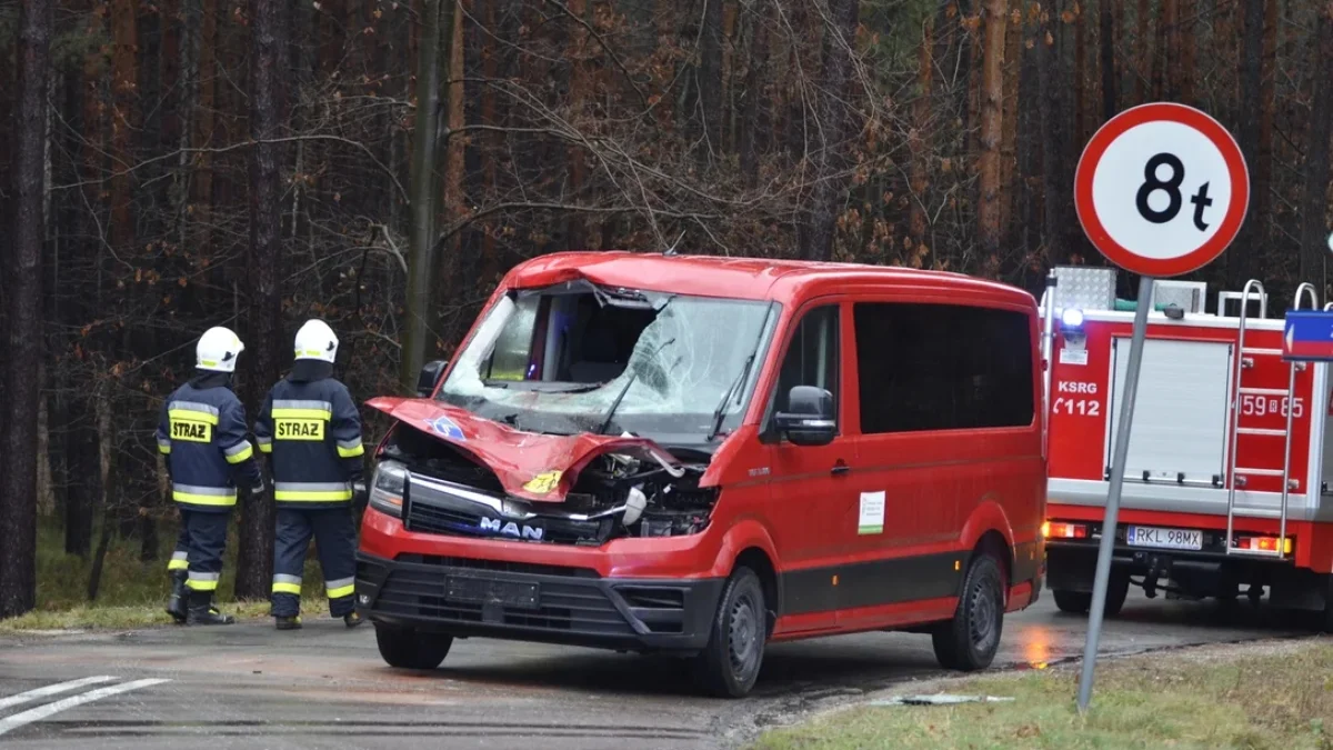 Wypadek w Przyłęku. Jeleń wpadł do busa przewożącego dzieci  [ZDJĘCIA - AKTUALIZACJA] - Zdjęcie główne