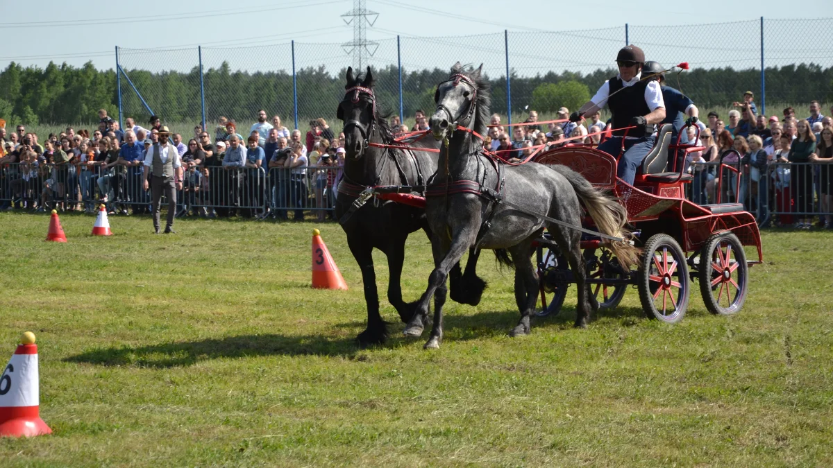 Parada Konna w Żarówce 2024 przed nami [ZDJĘCIA] - Zdjęcie główne