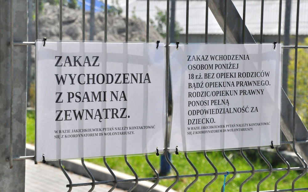 Co z zakazem wstępu dla niepełnoletnich do schroniska dla zwierząt? [NASZ RAPORT] - Zdjęcie główne