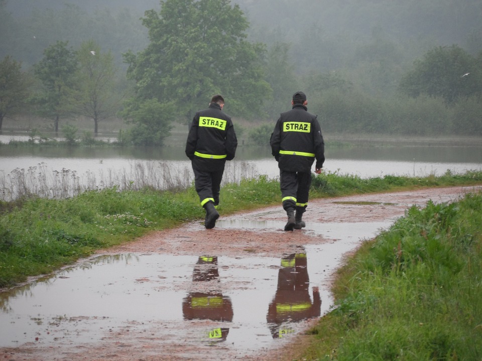 Poranna akcja służb. Poszukiwali zaginionej osoby - Zdjęcie główne