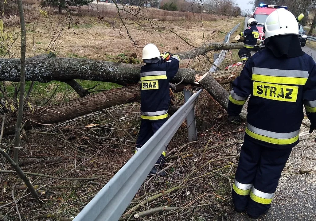 Wichura na Podkarpaciu. Ponad 100 interwencji strażaków. 4,5 tys. gospodarstw bez prądu [ZDJĘCIA, WIDEO] - Zdjęcie główne