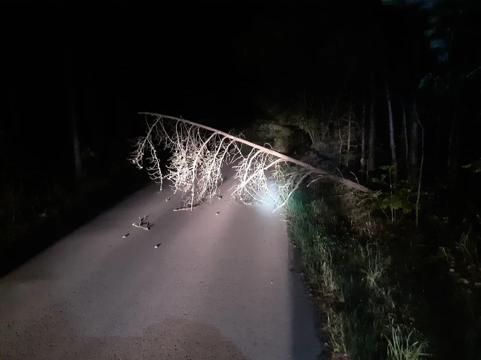 Uwaga będzie wiało! IMGW ostrzega przed silnymi podmuchami na Podkarpaciu - Zdjęcie główne