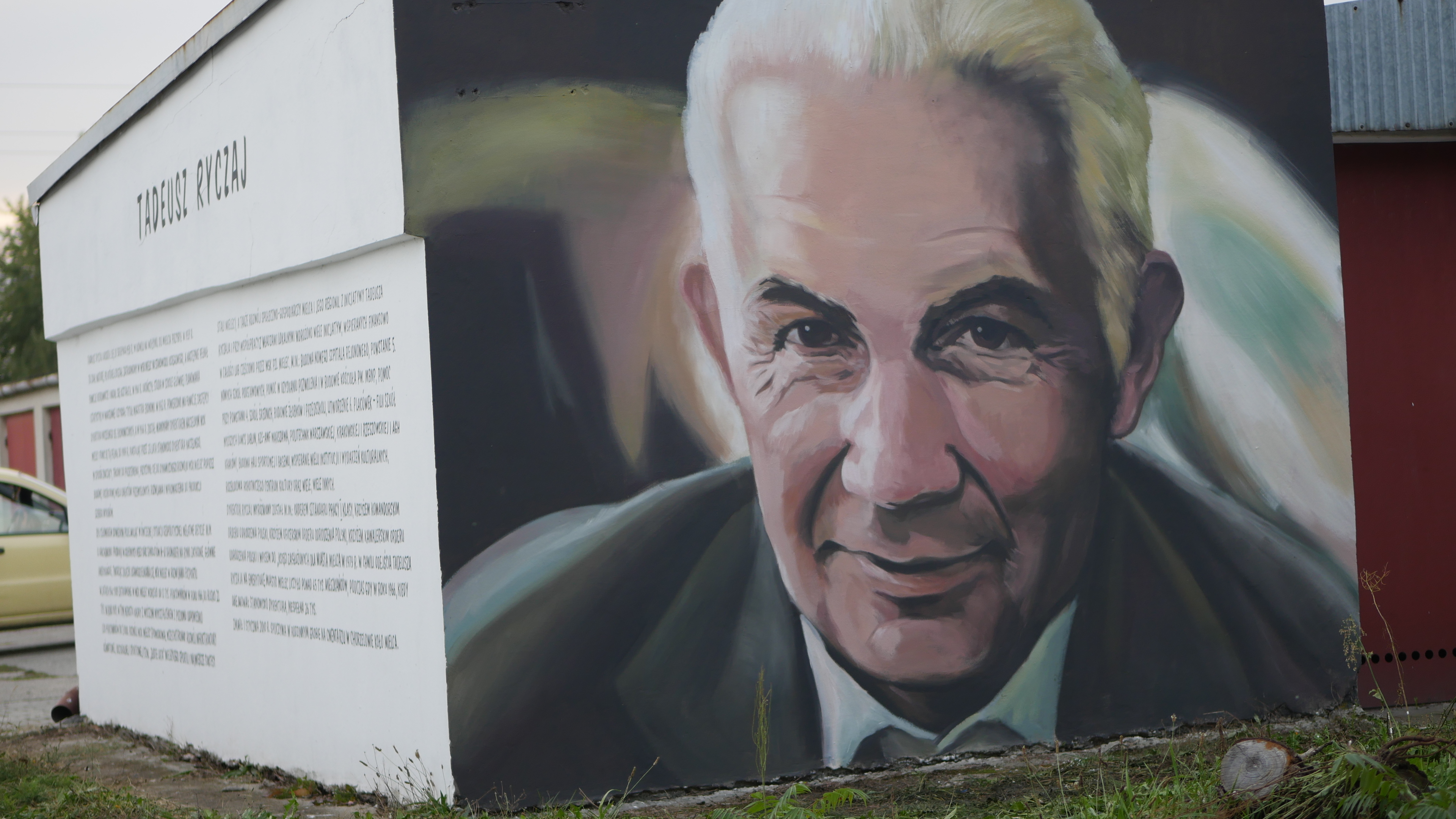 W Mielcu na Smoczce powstał nowy mural [VIDEO] - Zdjęcie główne